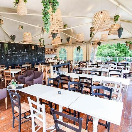 Safaritent Glamping Orlando In Chianti Cavriglia Kültér fotó
