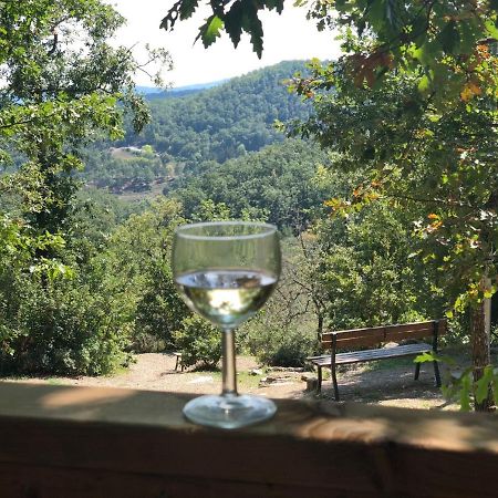 Safaritent Glamping Orlando In Chianti Cavriglia Kültér fotó